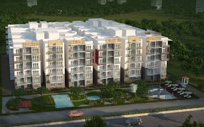 Spring Woods - Ariel View